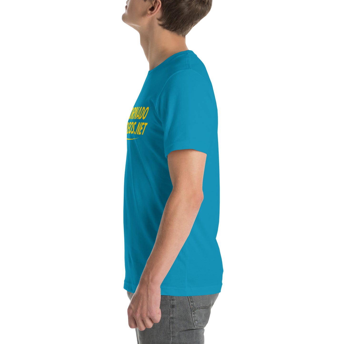 Vintage TornadoVideos.net Color Tee