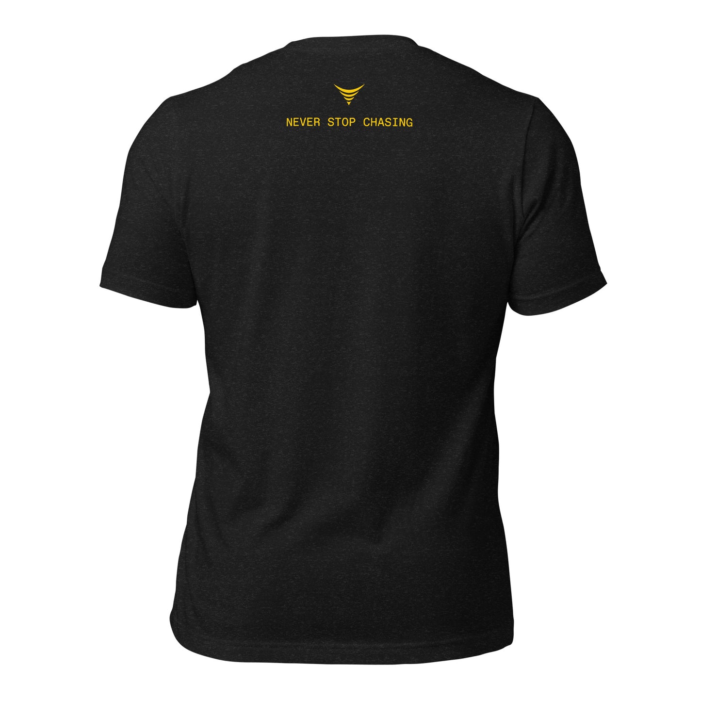 Vintage TornadoVideos.net Color Tee