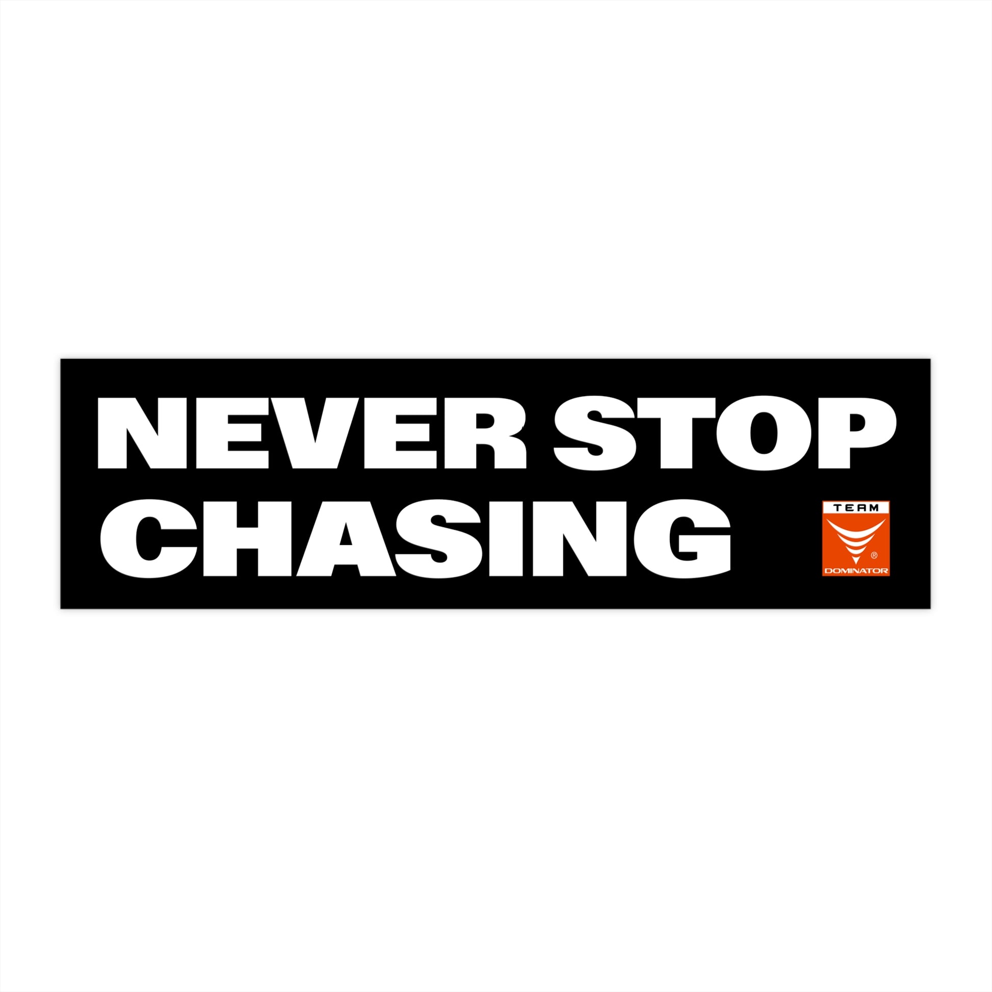 NEVER STOP CHASING BUMPER STICKER - Never Stop Chasing